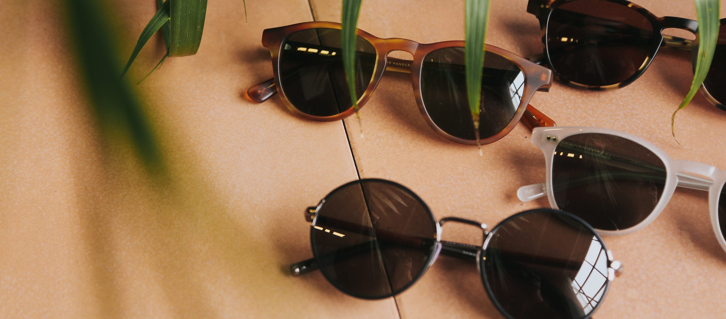 Stylish sunglasses in tortoise, white, and black frames with dark lenses, arranged on terracotta tiles with green leaves, evoking warm, modern, sun-kissed vibes.