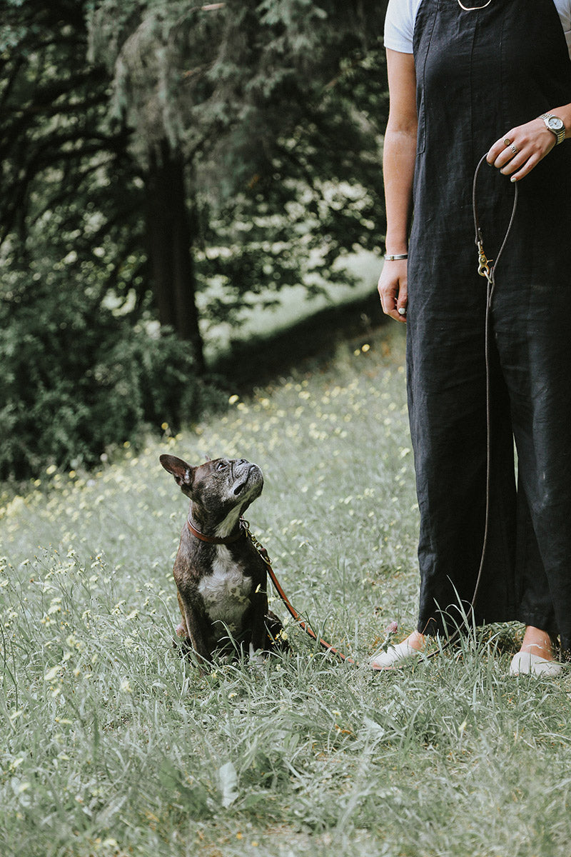 Natural convertible canine lead with brass hardware, held by a person standing next to a brindle French Bulldog in green grass.
