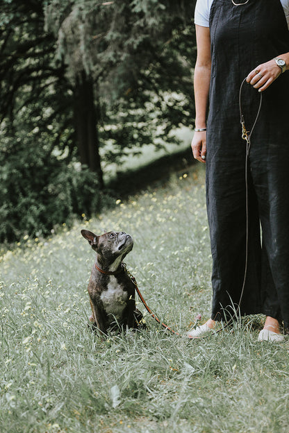 Black Convertible Canine Lead with brass hardware, held by a person with a brindle French Bulldog in a grassy field.