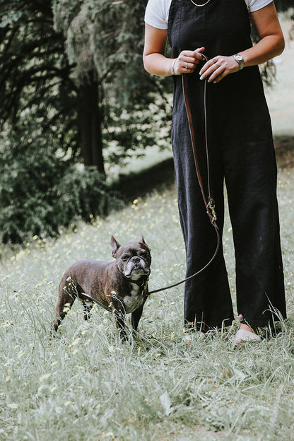 Cognac Convertible Canine Lead with brass hardware, held by a person walking a French Bulldog outdoors.