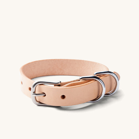 A classic natural leather canine collar with a silver-toned buckle and two D-rings, lying curved.